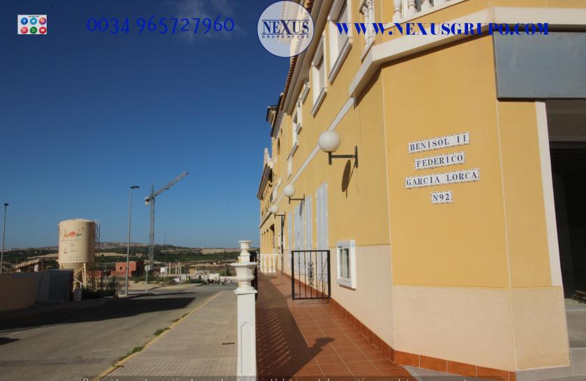 INMOBILIARIA GRUPO NEXUS RENT DUPLEX PENTHOUSE IN BENIJOFAR in Nexus Grupo