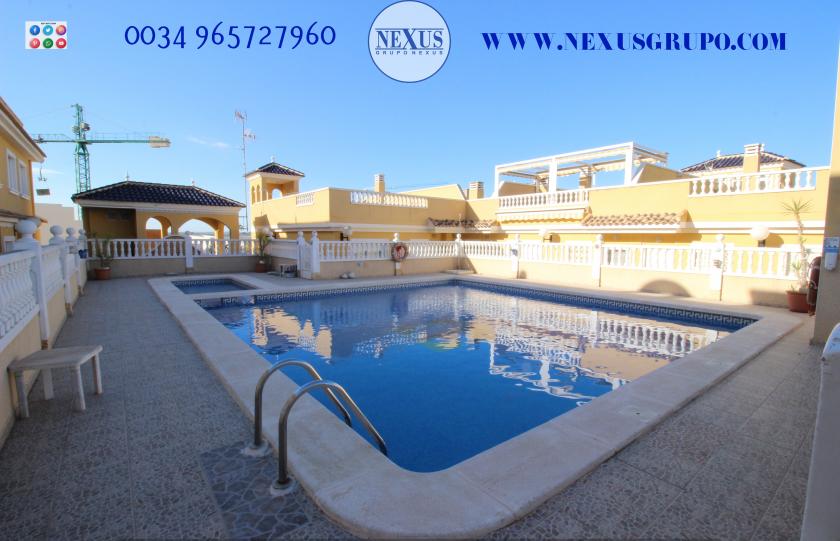 INMOBILIARIA GRUPO NEXUS RENT DUPLEX PENTHOUSE IN BENIJOFAR in Nexus Grupo