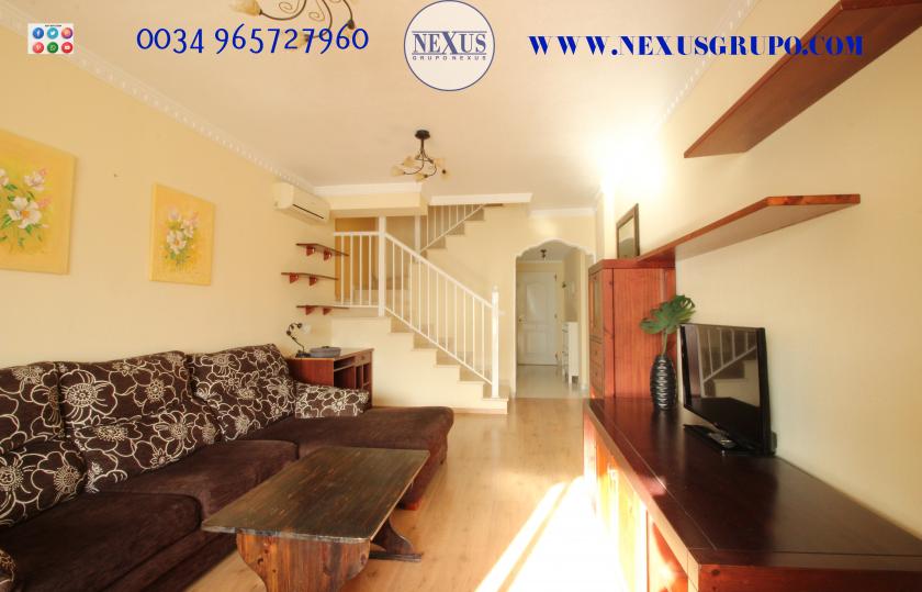 INMOBILIARIA GRUPO NEXUS RENT DUPLEX PENTHOUSE IN BENIJOFAR in Nexus Grupo