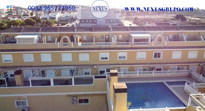 INMOBILIARIA GRUPO NEXUS RENT DUPLEX PENTHOUSE IN BENIJOFAR in Nexus Grupo