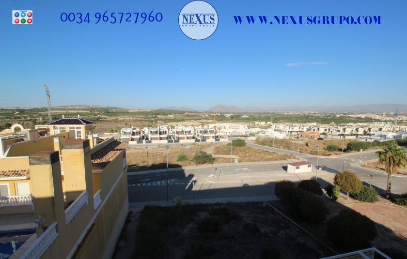 INMOBILIARIA GRUPO NEXUS ALQUILA ÁTICO DUPLEX EN BENIJOFAR in Nexus Grupo