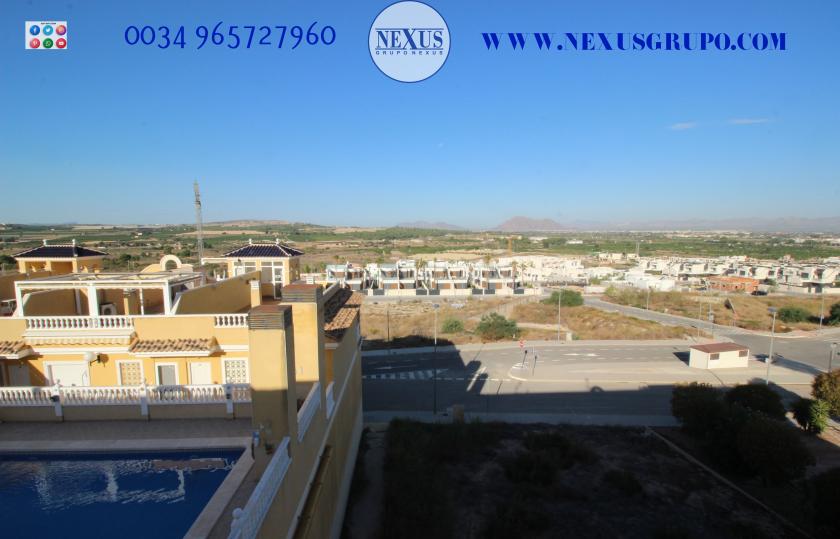 INMOBILIARIA GRUPO NEXUS ALQUILA ÁTICO DUPLEX EN BENIJOFAR in Nexus Grupo