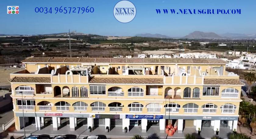 INMOBILIARIA GRUPO NEXUS RENT DUPLEX PENTHOUSE IN BENIJOFAR in Nexus Grupo