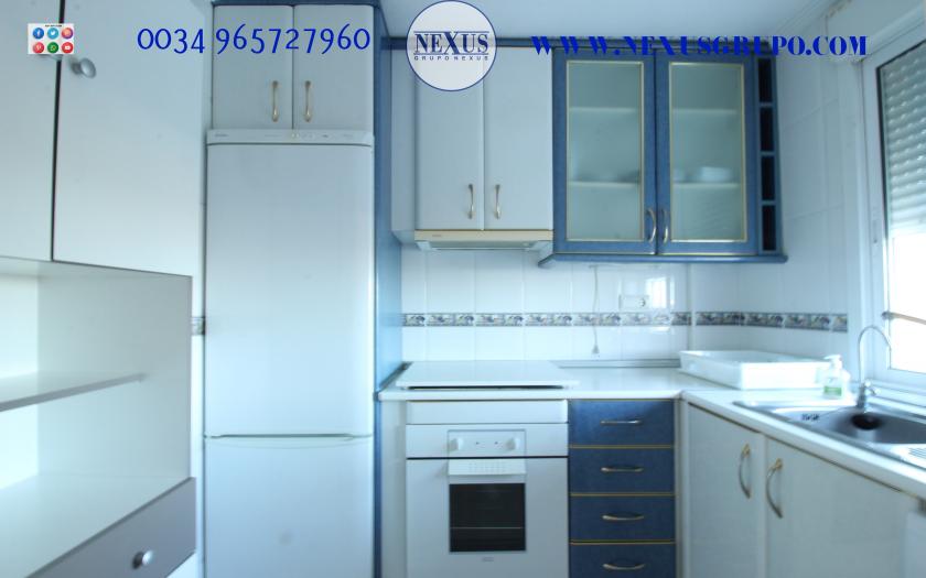INMOBILIARIA GRUPO NEXUS RENT DUPLEX PENTHOUSE IN BENIJOFAR in Nexus Grupo