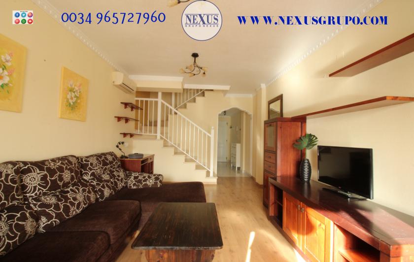 INMOBILIARIA GRUPO NEXUS RENT DUPLEX PENTHOUSE IN BENIJOFAR in Nexus Grupo