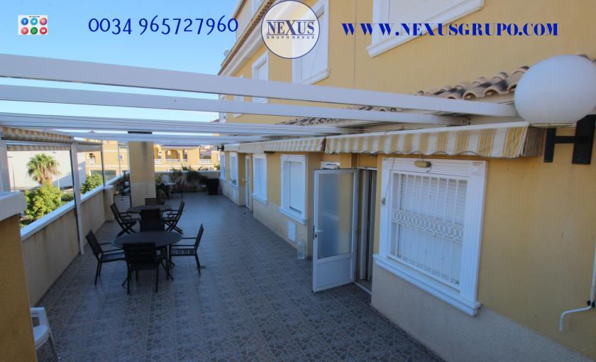 INMOBILIARIA GRUPO NEXUS RENT DUPLEX PENTHOUSE IN BENIJOFAR in Nexus Grupo