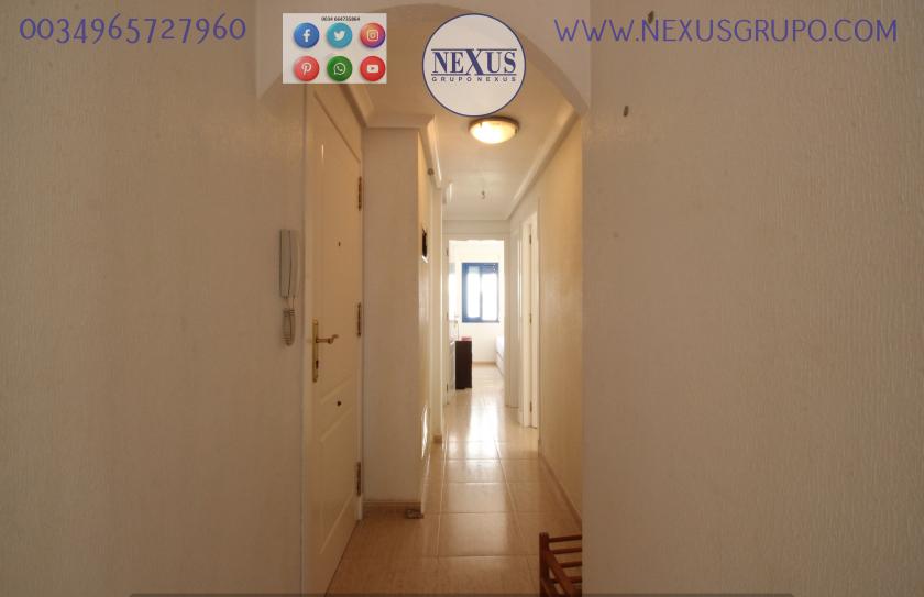 INMOBILIARIA GRUPO NEXUS RENT APARTMENT FOR THE WHOLE YEAR in Nexus Grupo