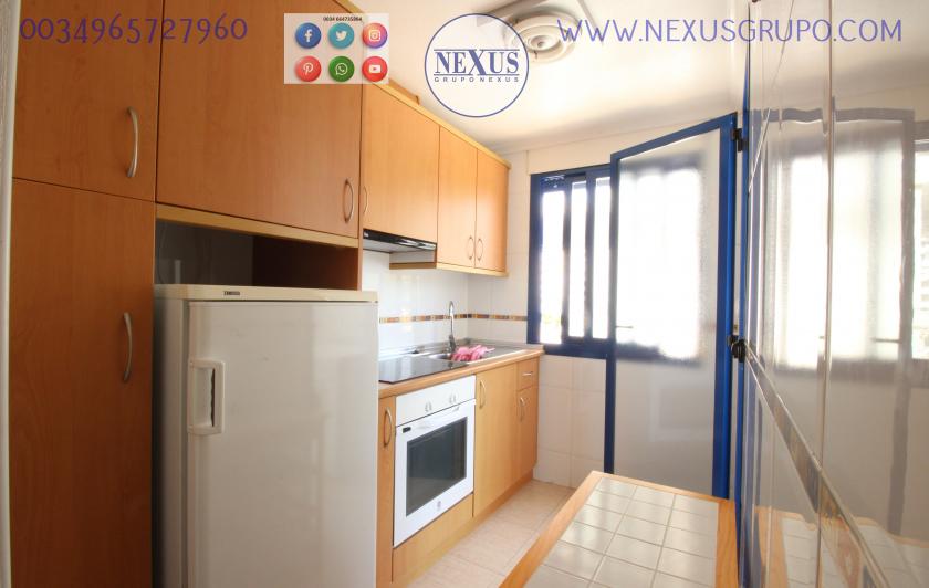 INMOBILIARIA GRUPO NEXUS RENT APARTMENT FOR THE WHOLE YEAR in Nexus Grupo