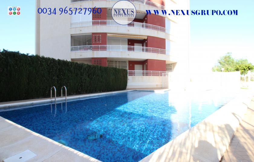 REAL ESTATE, GRUPO NEXUS SELLS, APARTMENT IN JUAN GARCÍA STREET, GUARDAMAR DEL SEGURA in Nexus Grupo