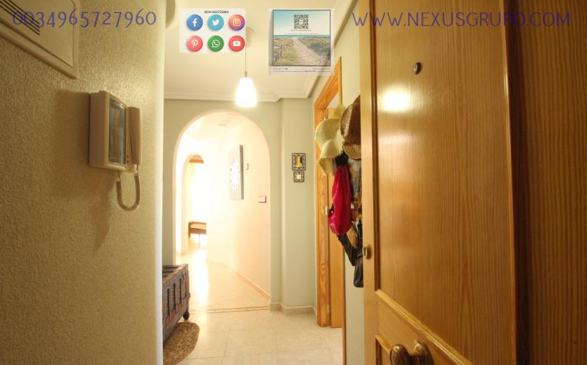 REAL ESTATE, GRUPO NEXUS SELLS, APARTMENT IN JUAN GARCÍA STREET, GUARDAMAR DEL SEGURA in Nexus Grupo