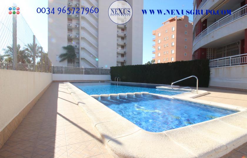 ONROEREND GOED, GRUPO NEXUS VERKOOPT, APPARTEMENT IN JUAN GARCÍA STRAAT, GUARDAMAR DEL SEGURA in Nexus Grupo