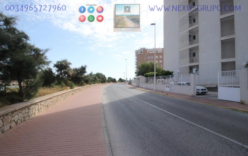 REAL ESTATE, GRUPO NEXUS SELLS, APARTMENT IN JUAN GARCÍA STREET, GUARDAMAR DEL SEGURA in Nexus Grupo