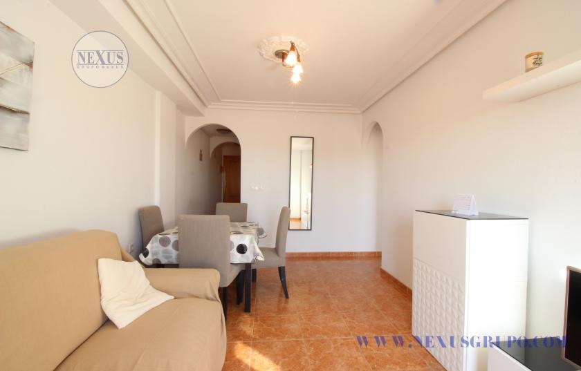 INMOBILIARIA GRUPO NEXUS RENT APARTMENT FOR THE WHOLE YEAR CALLE BENACANTIL 1 LA MATA in Nexus Grupo