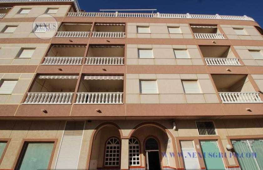 INMOBILIARIA GRUPO NEXUS RENT APARTMENT FOR THE WHOLE YEAR CALLE BENACANTIL 1 LA MATA in Nexus Grupo