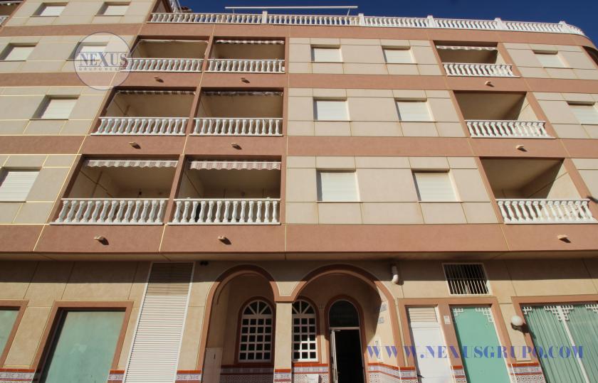 INMOBILIARIA GRUPO NEXUS RENT APARTMENT FOR THE WHOLE YEAR CALLE BENACANTIL 1 LA MATA in Nexus Grupo