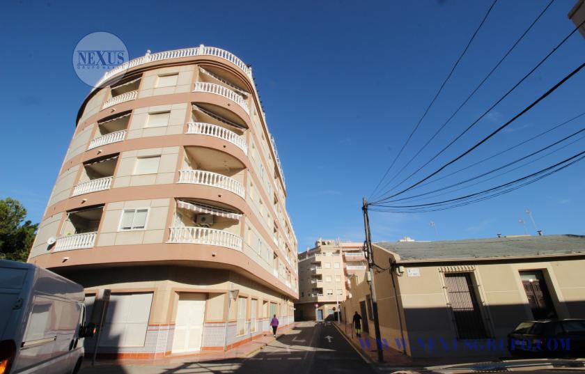 INMOBILIARIA GRUPO NEXUS ALQUILA PARA  TODO EL AÑO CALLE BENACANTIL 1 LA MATA in Nexus Grupo