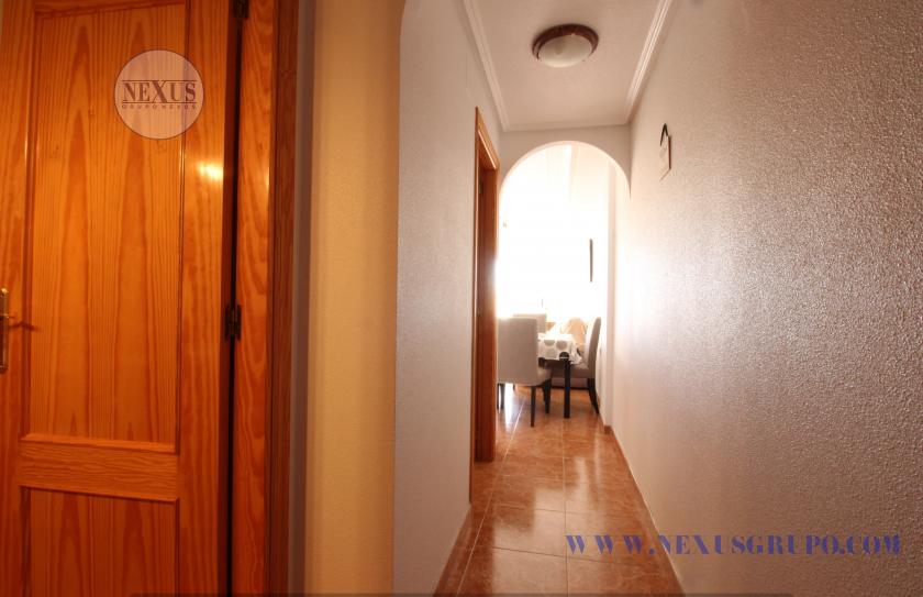 INMOBILIARIA GRUPO NEXUS RENT APARTMENT FOR THE WHOLE YEAR CALLE BENACANTIL 1 LA MATA in Nexus Grupo