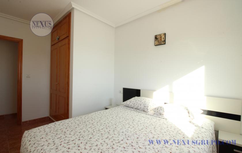 INMOBILIARIA GRUPO NEXUS RENT APARTMENT FOR THE WHOLE YEAR CALLE BENACANTIL 1 LA MATA in Nexus Grupo