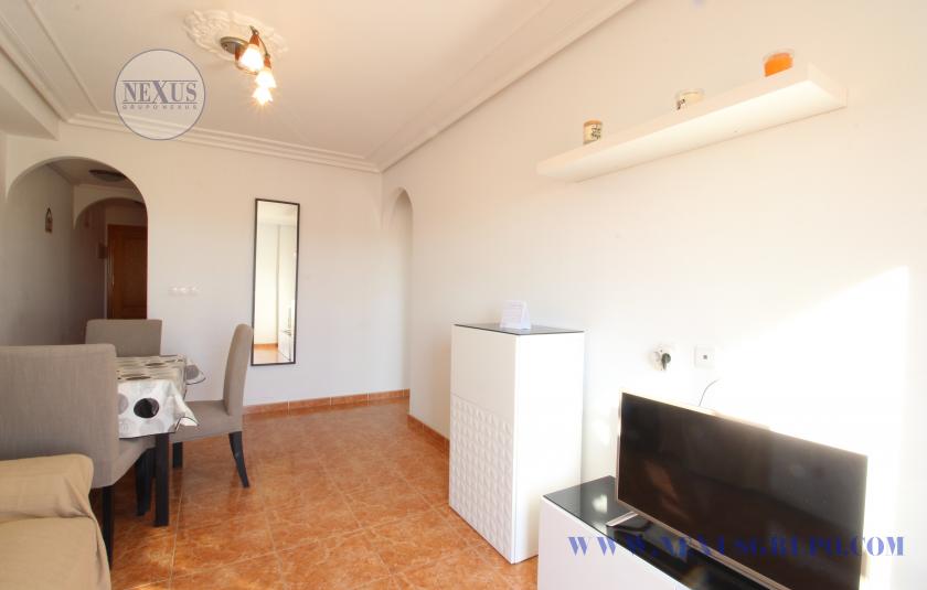 INMOBILIARIA GRUPO NEXUS RENT APARTMENT FOR THE WHOLE YEAR CALLE BENACANTIL 1 LA MATA in Nexus Grupo