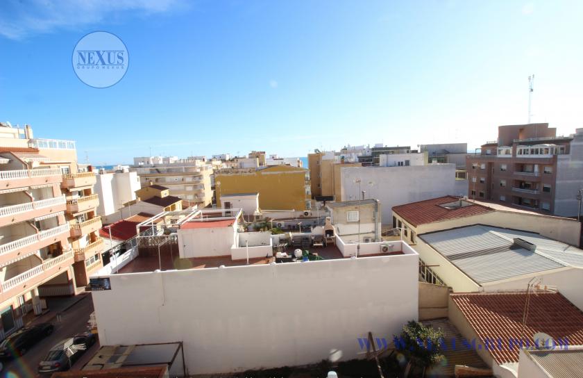 INMOBILIARIA GRUPO NEXUS ALQUILA PARA  TODO EL AÑO CALLE BENACANTIL 1 LA MATA in Nexus Grupo