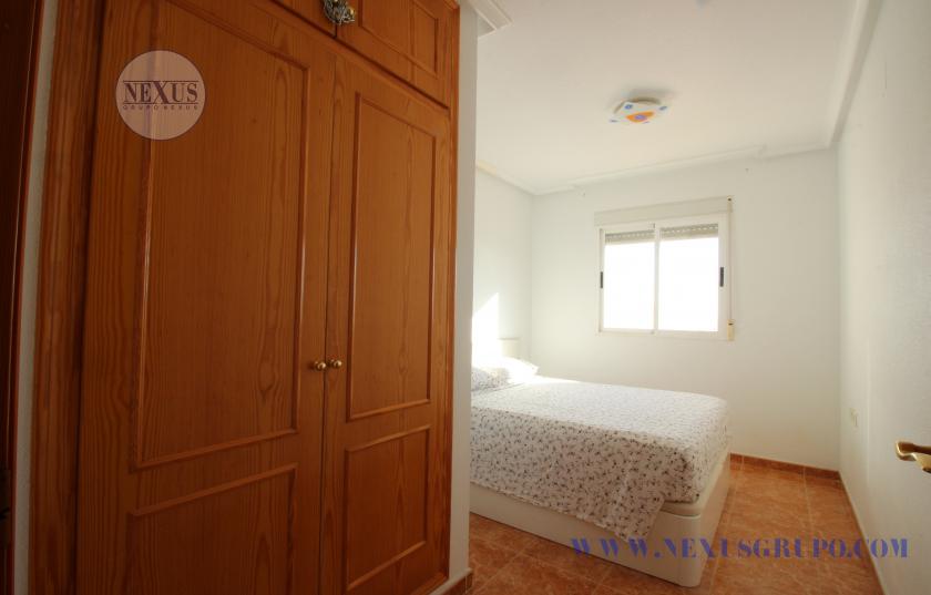 INMOBILIARIA GRUPO NEXUS RENT APARTMENT FOR THE WHOLE YEAR CALLE BENACANTIL 1 LA MATA in Nexus Grupo