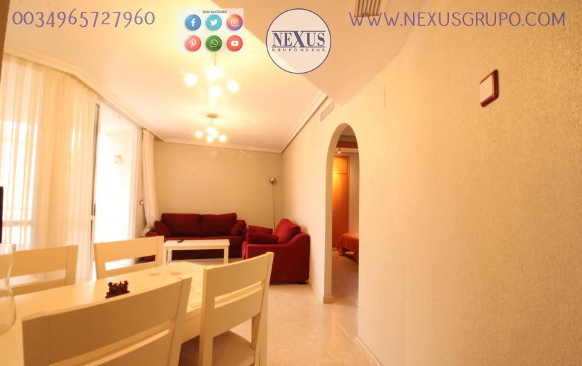 GRUPO NEXUS REAL ESTATE RENT APARTMENT FOR ALL YEAR NEAR THE PUERTO DEPORTIVO in Nexus Grupo