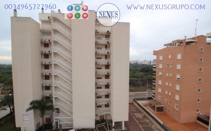 INMOBILIAIRIA GRUPO NEXUS ALQUILA APARTAMENTO PARA TODO EL AÑO CERCA DEL PUERTO DEPORTIVO in Nexus Grupo