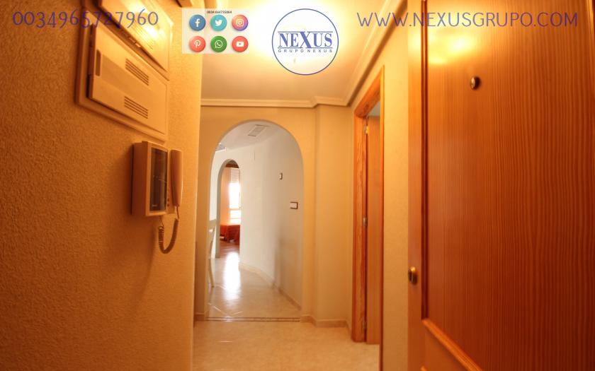 GRUPO NEXUS REAL ESTATE RENT APARTMENT FOR ALL YEAR NEAR THE PUERTO DEPORTIVO in Nexus Grupo