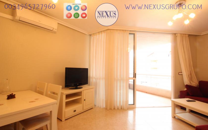 GRUPO NEXUS REAL ESTATE RENT APARTMENT FOR ALL YEAR NEAR THE PUERTO DEPORTIVO in Nexus Grupo