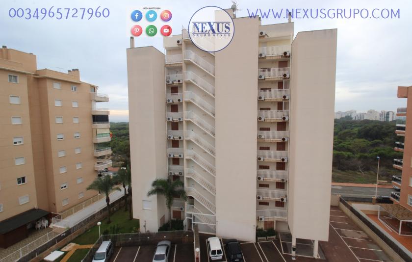 GRUPO NEXUS REAL ESTATE RENT APARTMENT FOR ALL YEAR NEAR THE PUERTO DEPORTIVO in Nexus Grupo