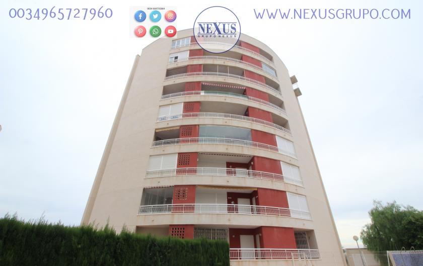 GRUPO NEXUS REAL ESTATE RENT APARTMENT FOR ALL YEAR NEAR THE PUERTO DEPORTIVO in Nexus Grupo