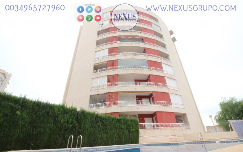 INMOBILIAIRIA GRUPO NEXUS ALQUILA APARTAMENTO PARA TODO EL AÑO CERCA DEL PUERTO DEPORTIVO in Nexus Grupo