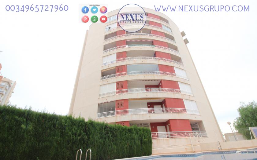 INMOBILIAIRIA GRUPO NEXUS ALQUILA APARTAMENTO PARA TODO EL AÑO CERCA DEL PUERTO DEPORTIVO in Nexus Grupo