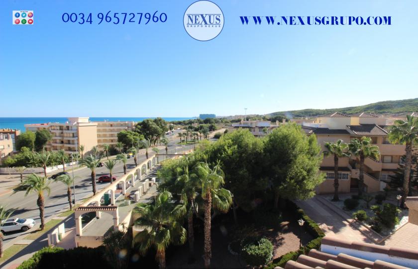 3 Slaapkamer Duplex penthouse in Guardamar del Segura - Verhuur in Nexus Grupo