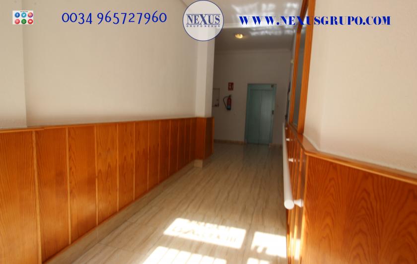 Pronájem Real Estate Grupo Nexus Penthouse v la Mata-Torrevieja na celý rok..... in Nexus Grupo