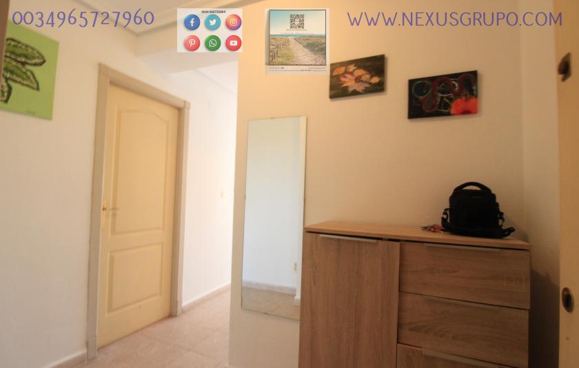 INMOBILIARIA GRUPO NEXUS ALQUILA ÁTICO EN LA MATA- TORREVIEJA, PARA TODO EL AÑO.... in Nexus Grupo