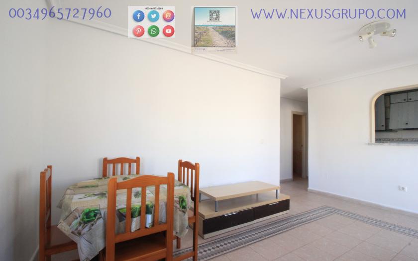 Real Estate Grupo Nexus Rent Penthouse in la Mata- Torrevieja for the whole year..... in Nexus Grupo