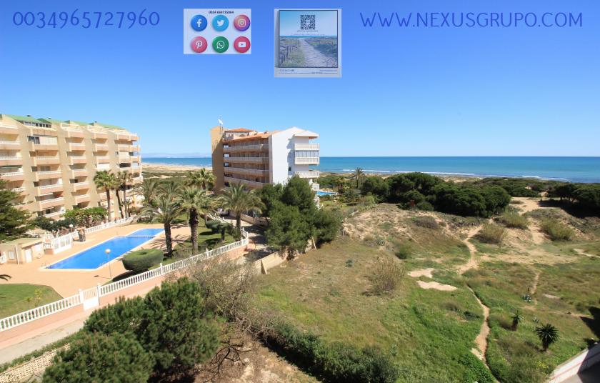 INMOBILIARIA GRUPO NEXUS ALQUILA ÁTICO EN LA MATA- TORREVIEJA, PARA TODO EL AÑO.... in Nexus Grupo