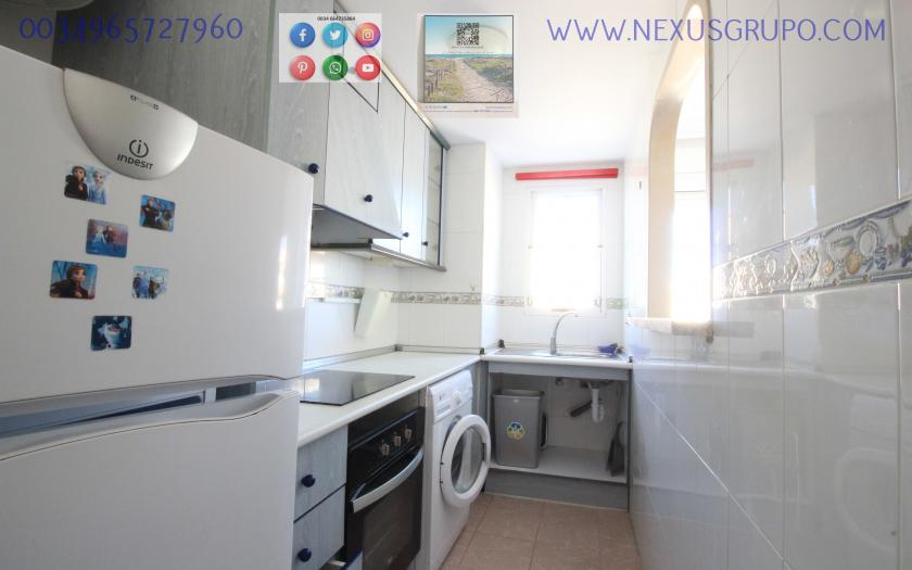 INMOBILIARIA GRUPO NEXUS ALQUILA ÁTICO EN LA MATA- TORREVIEJA, PARA TODO EL AÑO.... in Nexus Grupo