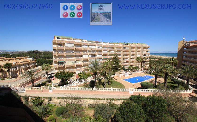 Real Estate Grupo Nexus Rent Penthouse in la Mata- Torrevieja for the whole year..... in Nexus Grupo