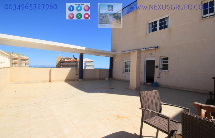 INMOBILIARIA GRUPO NEXUS ALQUILA ÁTICO EN LA MATA- TORREVIEJA, PARA TODO EL AÑO.... in Nexus Grupo