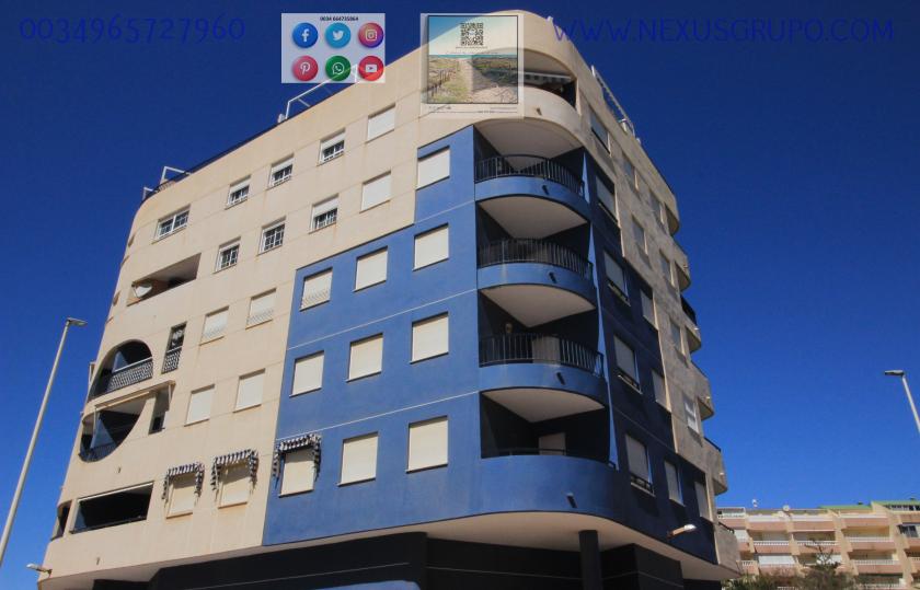 Real Estate Grupo Nexus Rent Penthouse in la Mata- Torrevieja for the whole year..... in Nexus Grupo