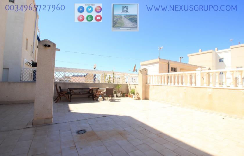 INMOBILIARIA GRUPO NEXUS ALQUILA ÁTICO EN LA MATA- TORREVIEJA, PARA TODO EL AÑO.... in Nexus Grupo