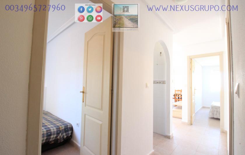 INMOBILIARIA GRUPO NEXUS ALQUILA ÁTICO EN LA MATA- TORREVIEJA, PARA TODO EL AÑO.... in Nexus Grupo