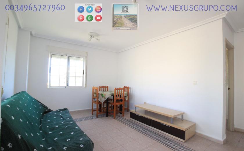 INMOBILIARIA GRUPO NEXUS ALQUILA ÁTICO EN LA MATA- TORREVIEJA, PARA TODO EL AÑO.... in Nexus Grupo