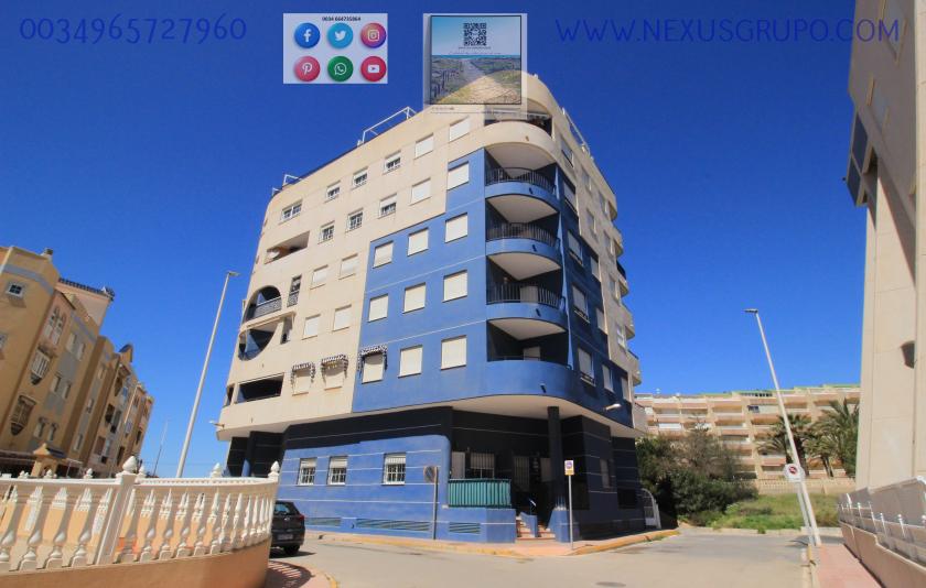 Pronájem Real Estate Grupo Nexus Penthouse v la Mata-Torrevieja na celý rok..... in Nexus Grupo