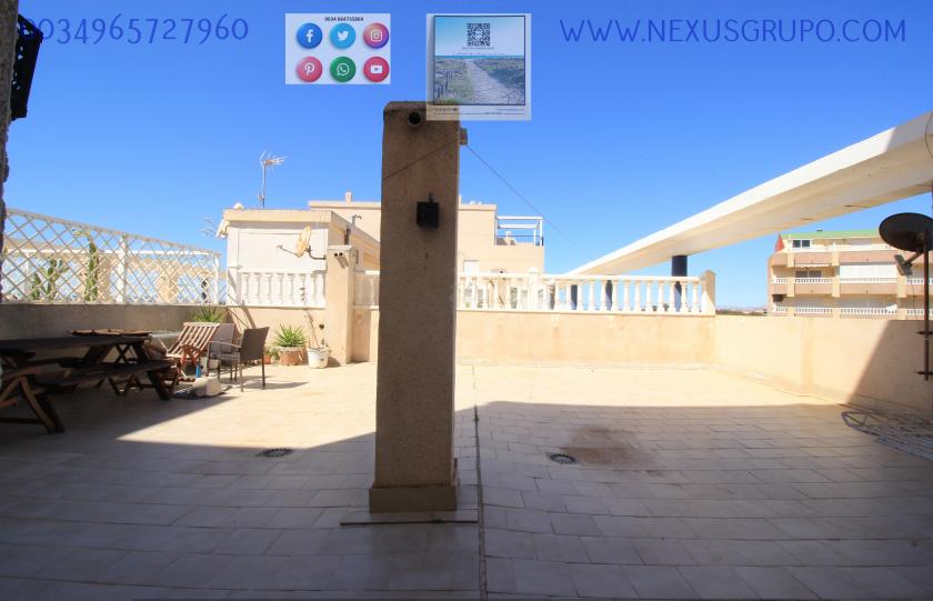 INMOBILIARIA GRUPO NEXUS ALQUILA ÁTICO EN LA MATA- TORREVIEJA, PARA TODO EL AÑO.... in Nexus Grupo