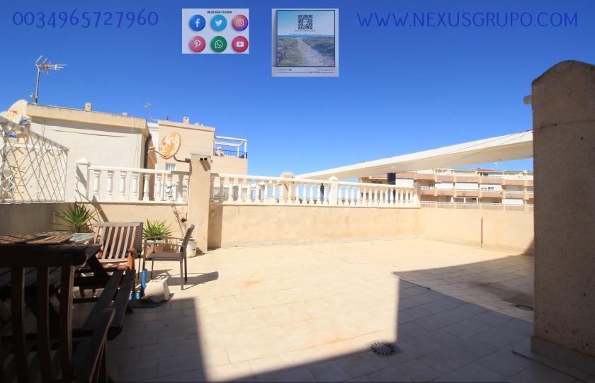 INMOBILIARIA GRUPO NEXUS ALQUILA ÁTICO EN LA MATA- TORREVIEJA, PARA TODO EL AÑO.... in Nexus Grupo