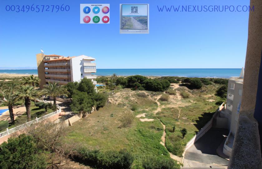 INMOBILIARIA GRUPO NEXUS ALQUILA ÁTICO EN LA MATA- TORREVIEJA, PARA TODO EL AÑO.... in Nexus Grupo