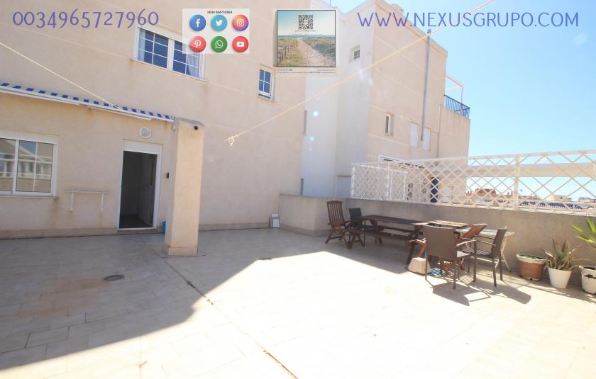 INMOBILIARIA GRUPO NEXUS ALQUILA ÁTICO EN LA MATA- TORREVIEJA, PARA TODO EL AÑO.... in Nexus Grupo